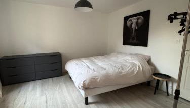 T2 élégant au cœur de Cordes - Foto 3