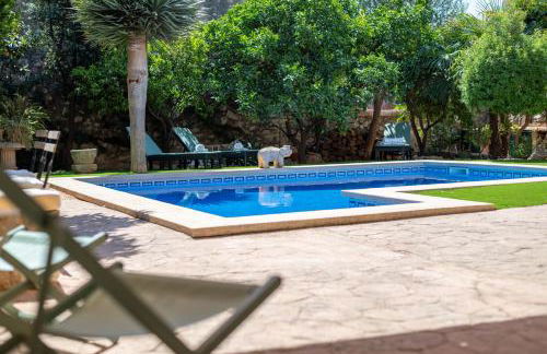 Ca'n Blanch - Foto 22