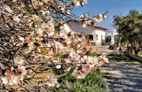 Borgo Santa Lucia - Photo 12