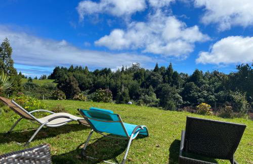 Bio Quinta do Pantano, Agro Turismo - Foto 13