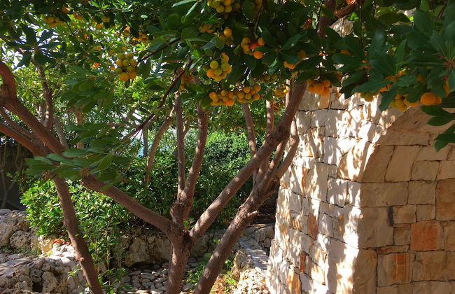 Emma's Villa facing the sea with swimming pool - Foto 37