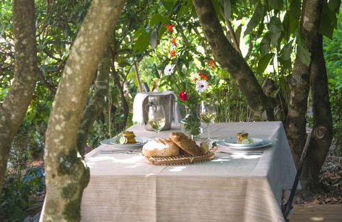 Solar Alegria - Foto 13