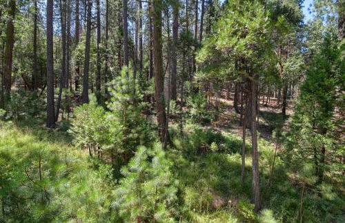 3 Springs Hideout - Family cabin with hot tub in Yosemite - Foto 51