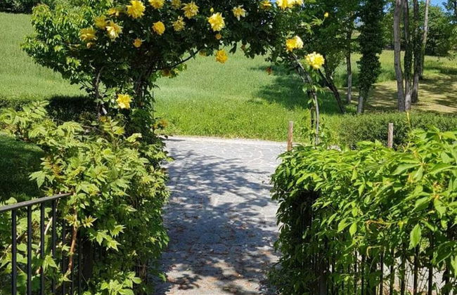 Mansion in Langhe Hills With Pool - Foto 23