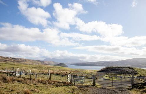 The Cottage, 7 Struanmore - Foto 61