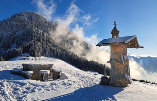 Chalet avec sauna entre Lac Leman, Montagnes et Golf - Le Cocon du Lac Léman - Foto 43