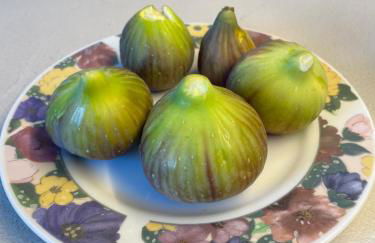 blue cielo sunny apartment - Foto 12