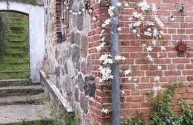 Große Ferienwohnung in Flecken Zechlin - Photo 39