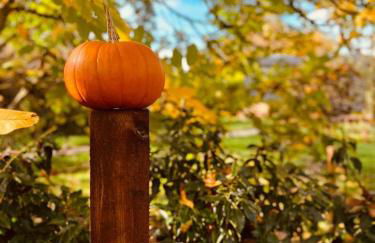 Cocklebury Farm - Foto 47