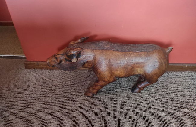 Beachfront Villa Africa Queen Jeffreys - Photo 10