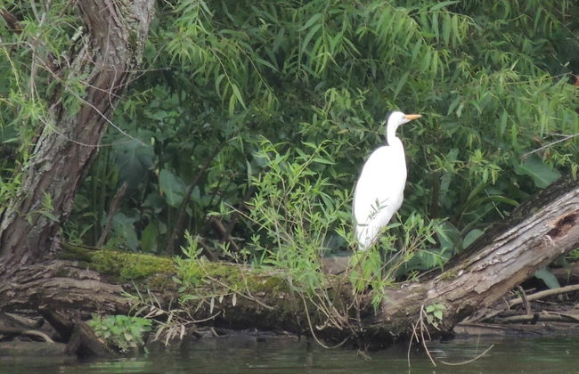MV GiaMaria - Foto 12