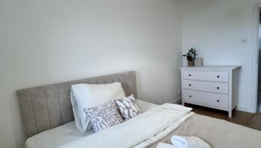 Forest Apart V - Foto 3