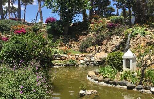 Macdonald Leila Playa Resort - Photo 58