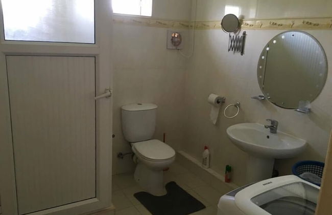 Faisan Dore - Photo 9