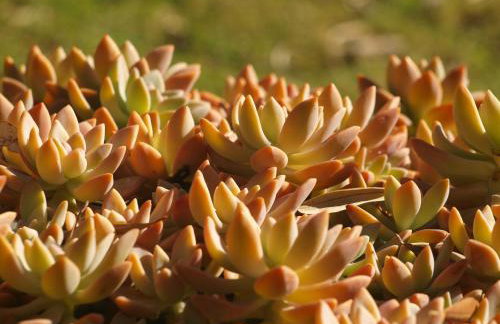 Country House Spitaki Γραφείο - Foto 27