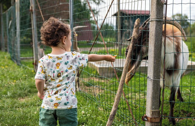 Agriturismo Rechsteiner - Foto 39