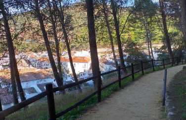 El Pitijopo - Foto 30