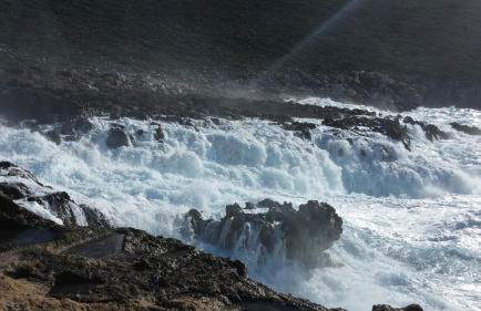 Thelea Mani - Foto 38