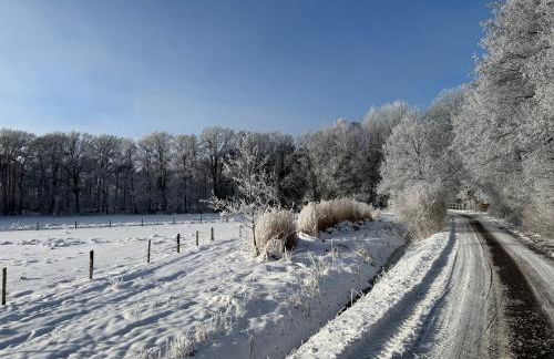 Ferienwohnung Dreyershof Land & Ruhe - Foto 30