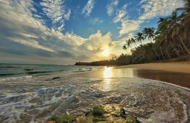 Suduwella House in Tangalle - Photo 2