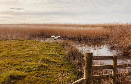Somerleyton Meadows - Somerley House plus Hut & Hot Tub - Foto 40
