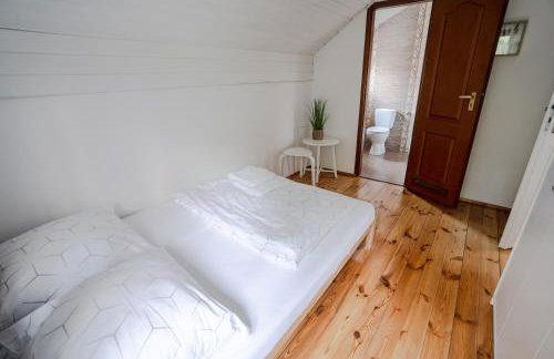 Konkelówka- Beskidy, willa z ogrodem i sauną, Góra Żar i jezioro - Foto 27