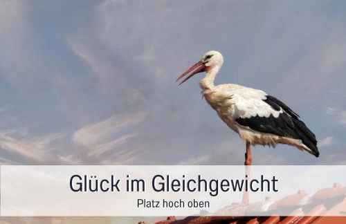 elbe511ferienzuhause im parkähnlichen Garten mit Teich - Foto 42