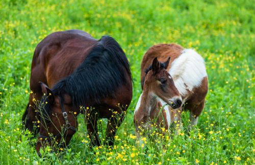 Apartment Stone and Wood - Photo 51