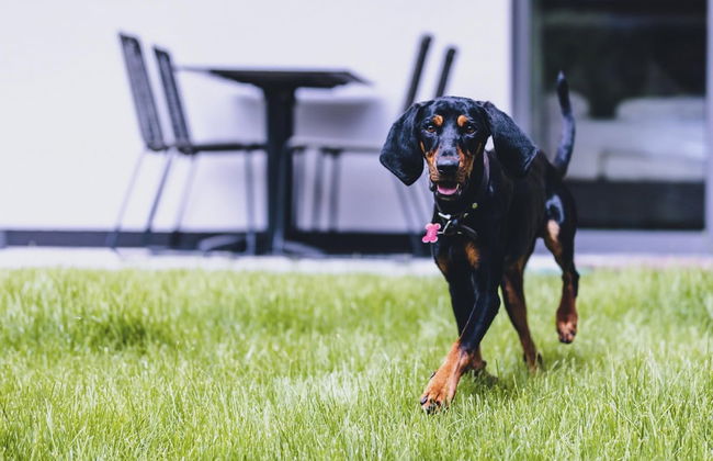 M1 - Garden Apartment 2 - Foto 15