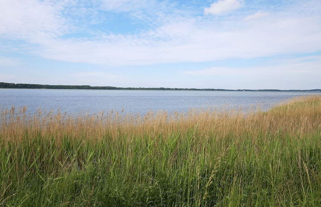 6 Person Holiday Home in Jaegerspris - Photo 5