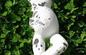 Dependance Pavoncella - Foto 38