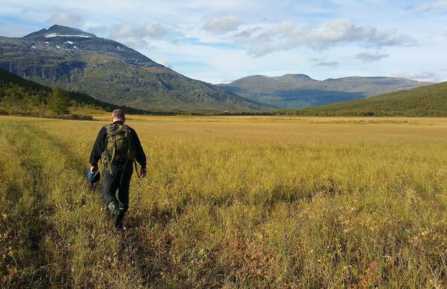 Lapphaugen turiststasjon - Foto 13