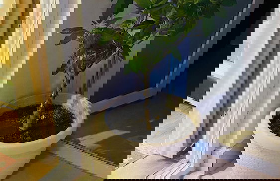 In+Residence - Foto 31