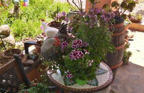 Villa Anna - Foto 31