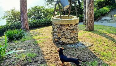 Villa D'Albertis - Photo 5