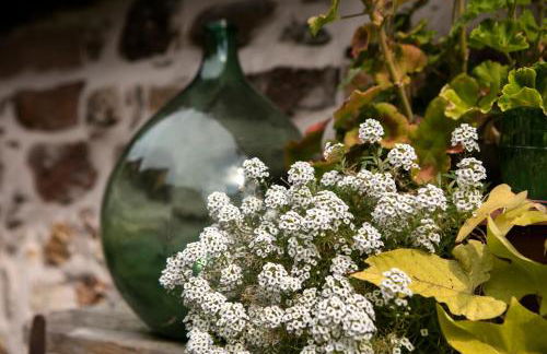 ANNO 1698 Gîtes et Chambres d'Hôtes - Foto 28