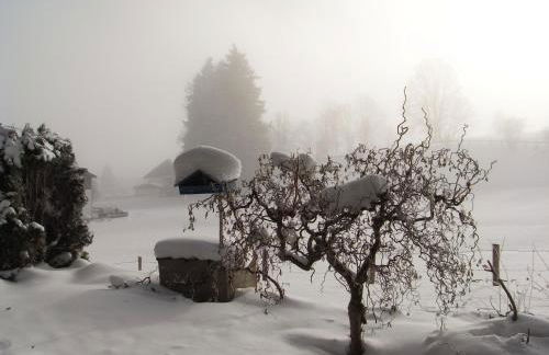 Ferienwohnung Heimatliebe - Photo 39
