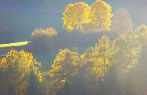 Krüglwirt - Photo 21