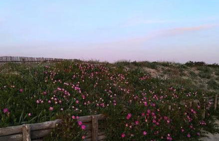 LA FRASCA FRESCA - Photo 20