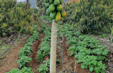 Finca de Luna - Foto 57