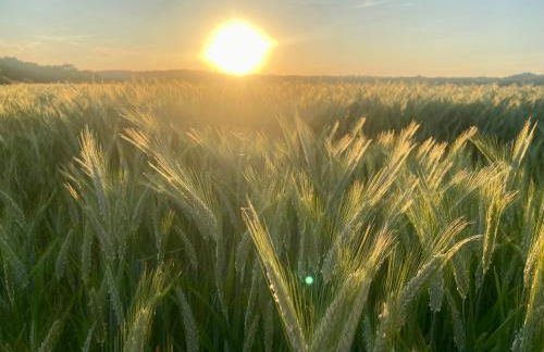 Le bon chemin Ateliers - Foto 30