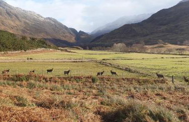 Tigh na Camus - Foto 64