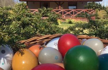 Dom w Sąpach - Foto 64