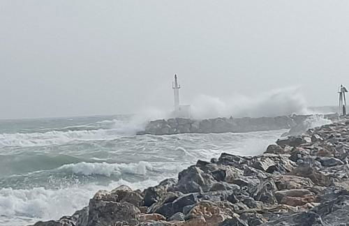 Studio les pieds dans l'eau App n°7 - Foto 15