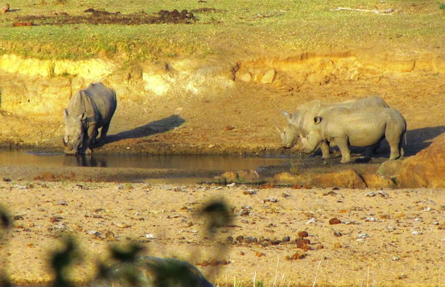 Umvangazi Rest - Enjoy a Relaxing, Rejuvenating and Peaceful Setting in the Bush - Foto 19