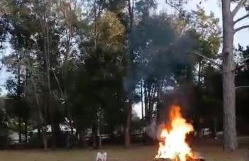 Happy Place near WEC , Natural Springs,Zip-Line - Photo 55