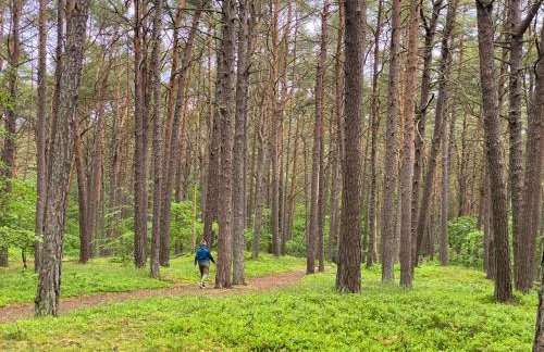 Studio Wisełka Leśna - Foto 15