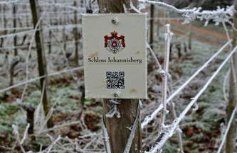 Auszeit Rheingauer Rosengasse - Foto 37