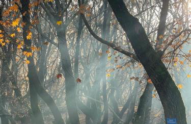 Mountain Hotels "Aroanides" - Foto 37