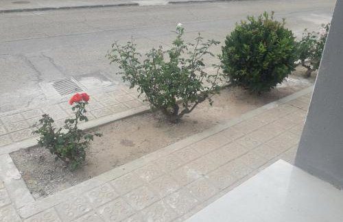 Apartamentos Hiberus Flumen - Foto 26